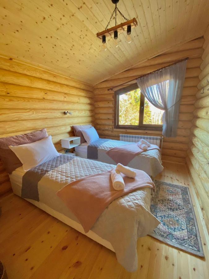 Вила Брезите Pamporovo Esterno foto
