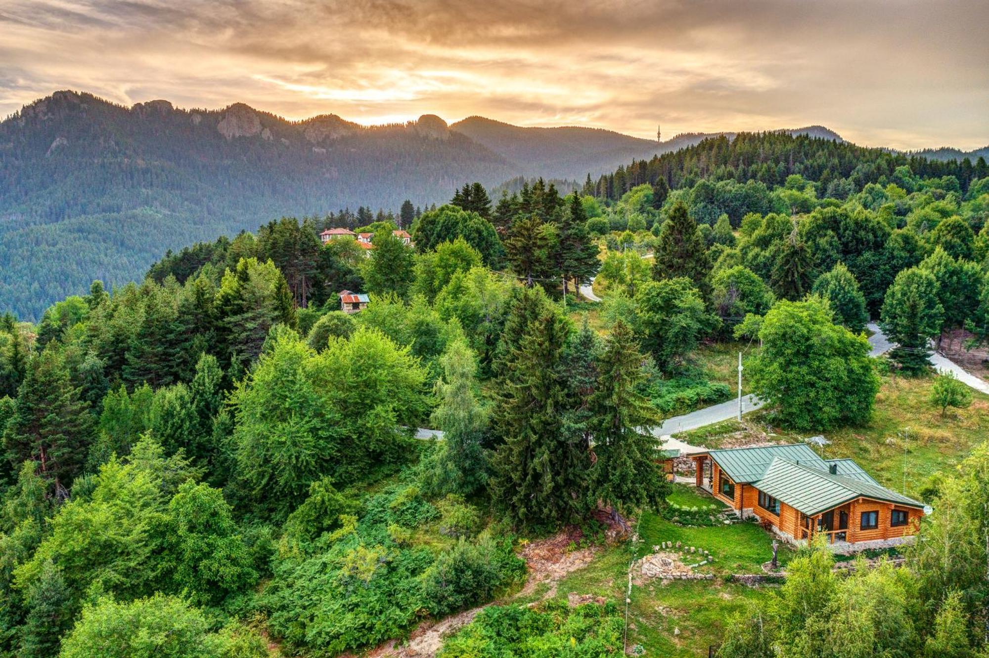 Вила Брезите Pamporovo Esterno foto