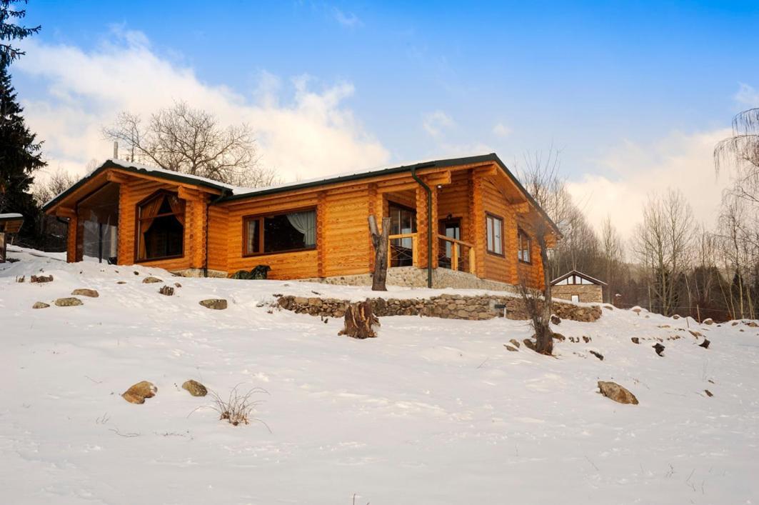 Вила Брезите Pamporovo Esterno foto