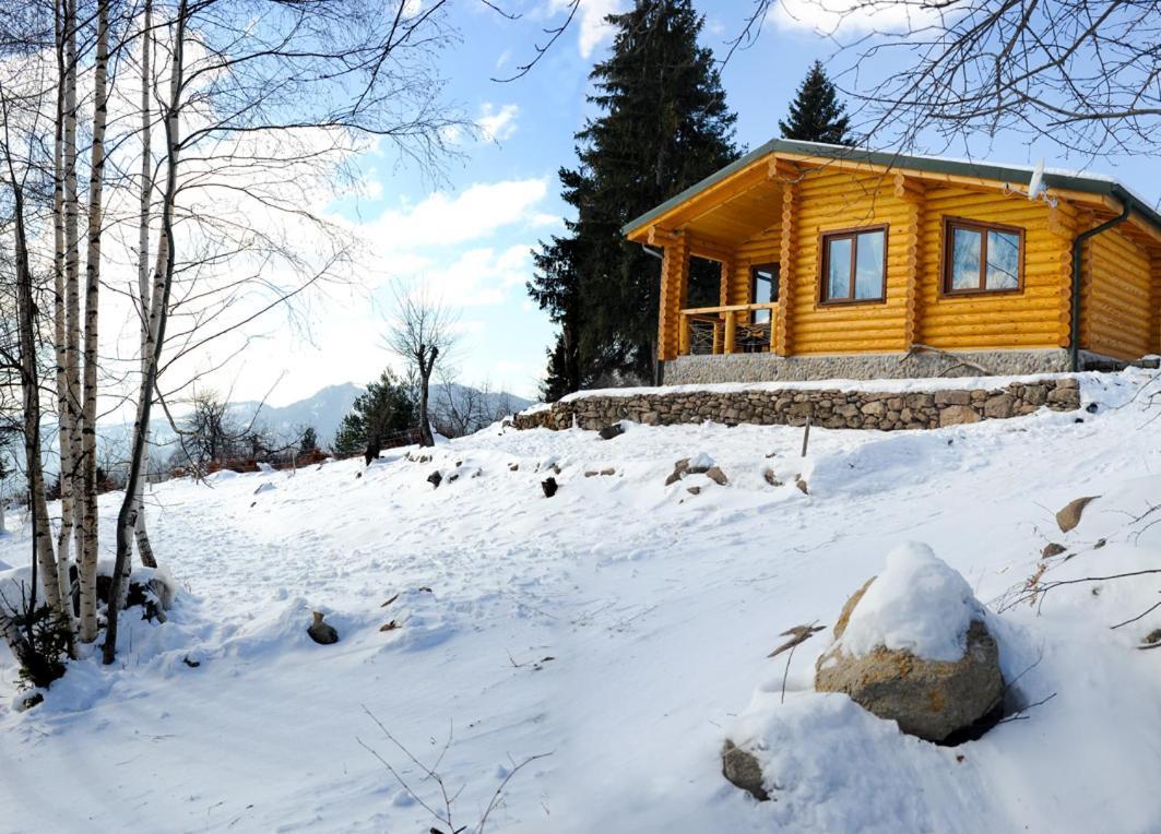 Вила Брезите Pamporovo Esterno foto