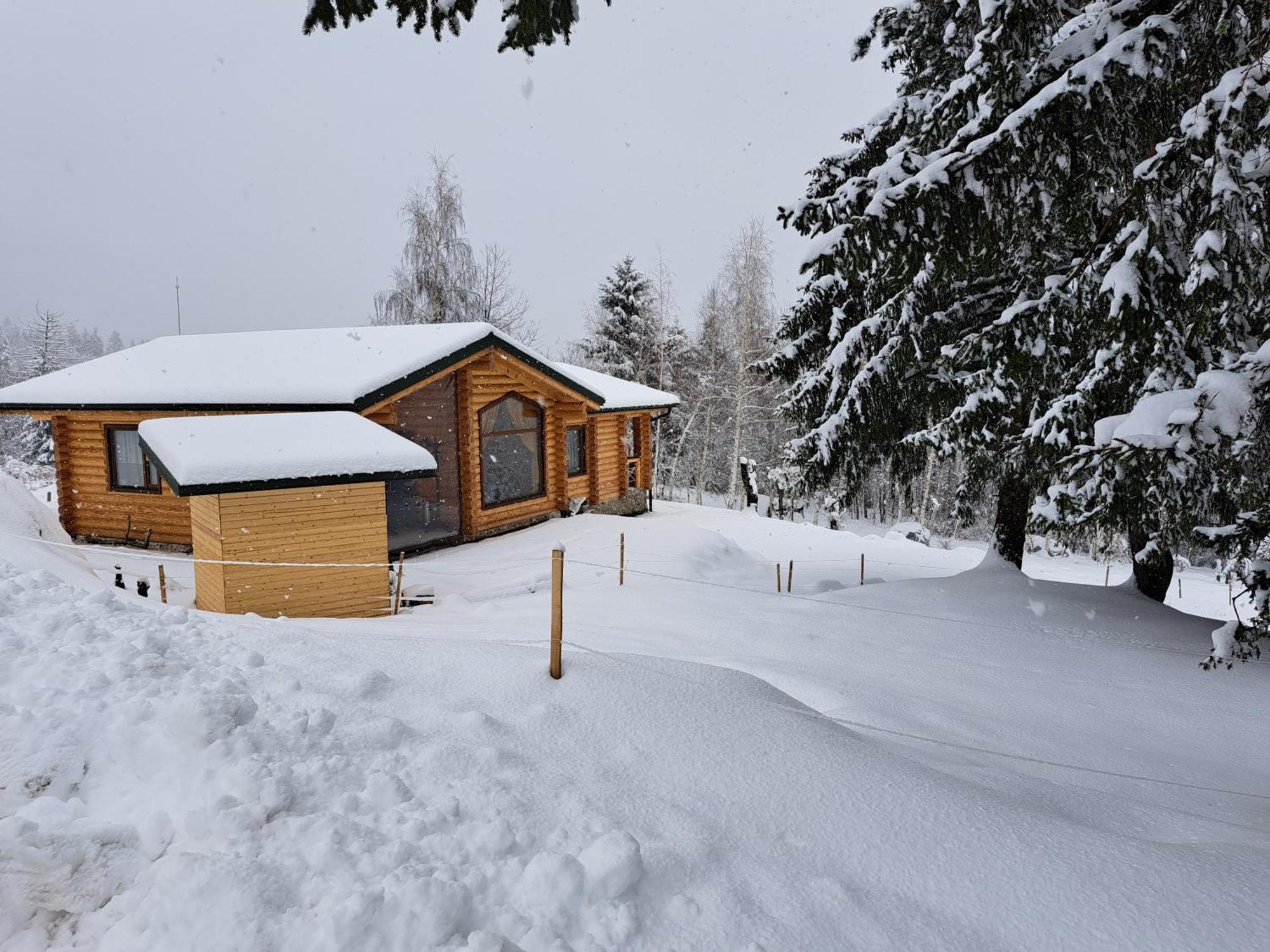 Вила Брезите Pamporovo Esterno foto