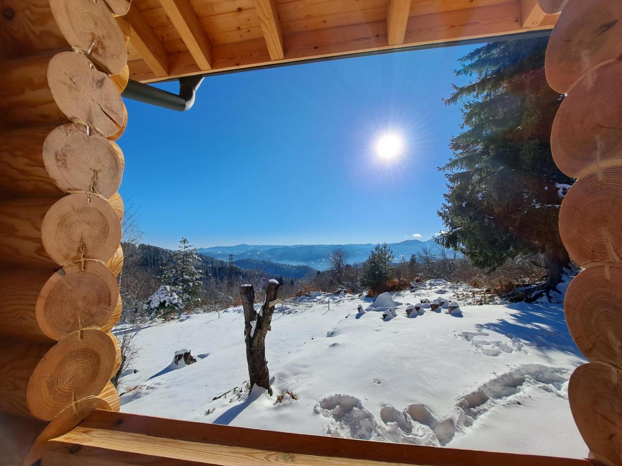 Вила Брезите Pamporovo Esterno foto